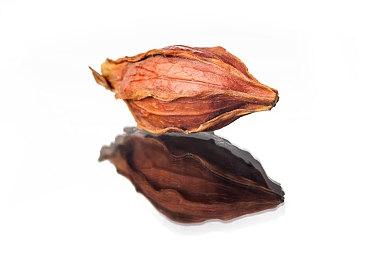 策略冒险《黑书》8月11日发售 登陆PC＆NS＆XB1＆PS4